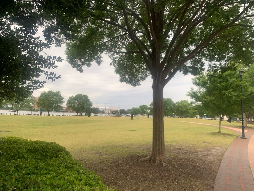 walking near me in Town Point Park in spring