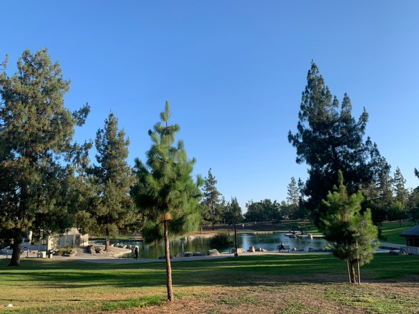 walking near me in Red Hill Community Park in summer
