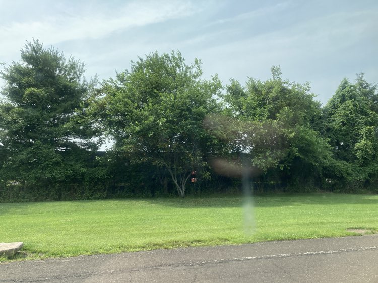walking near me in Warminster Community Park in summer