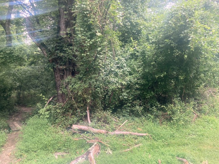 walking near me in Tamenend Community Park in autumn