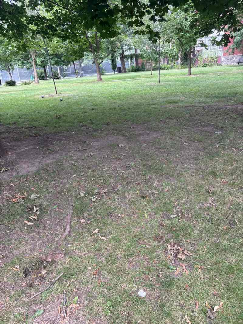 walking near me in Stayner Park in summer