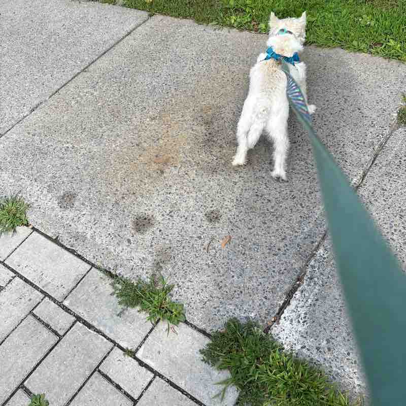polakmp post 1
