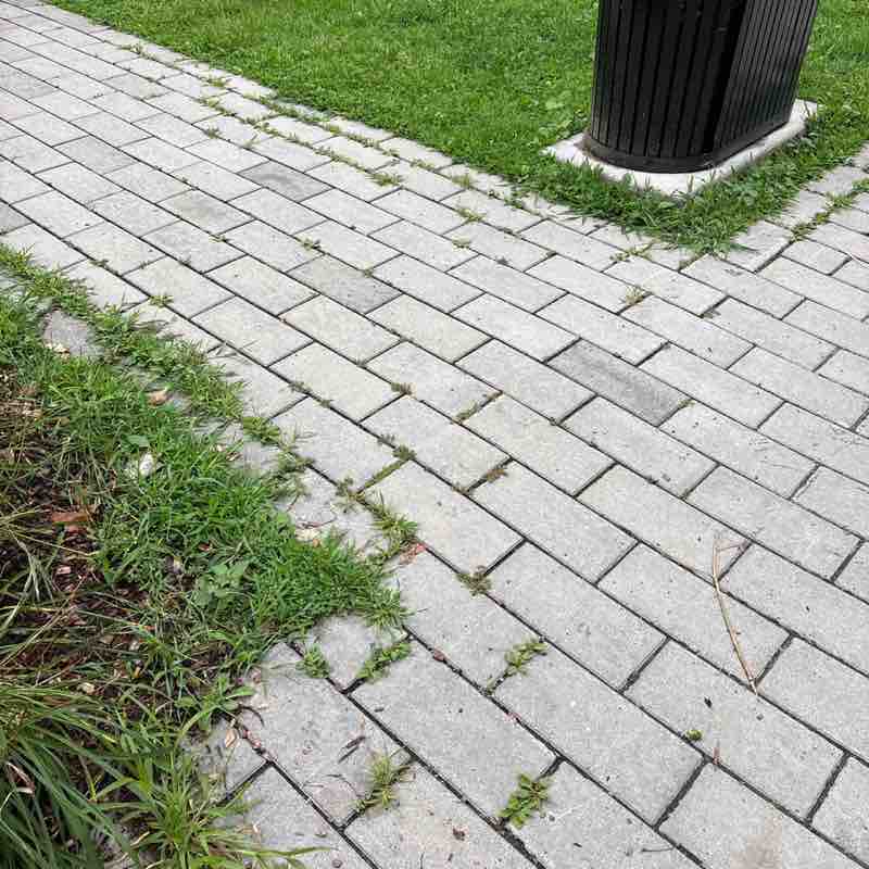 polakmp post 1