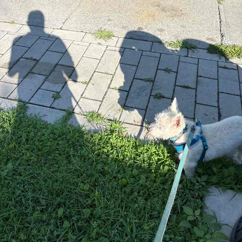polakmp post 1