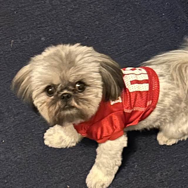 OHIO STATE UNIVERSITY BUCKEYES Linda 4 His glory post image