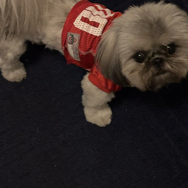 OHIO STATE UNIVERSITY BUCKEYES Linda 4 His glory post image