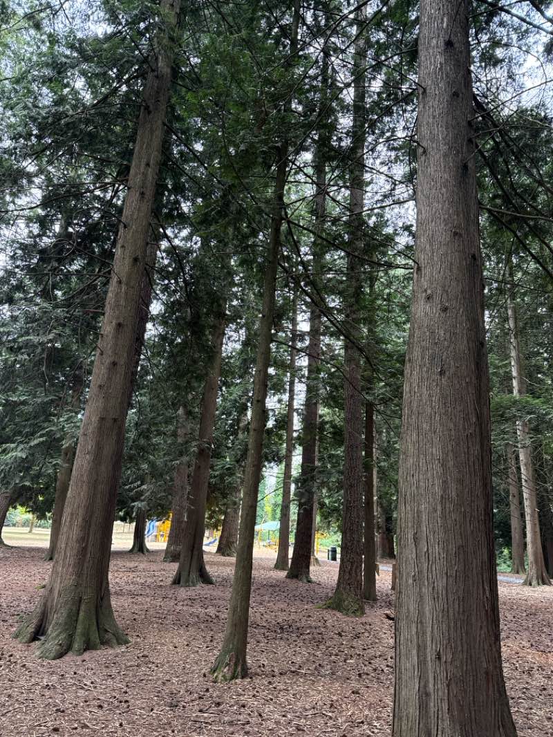 walking near me in Grant Park in autumn
