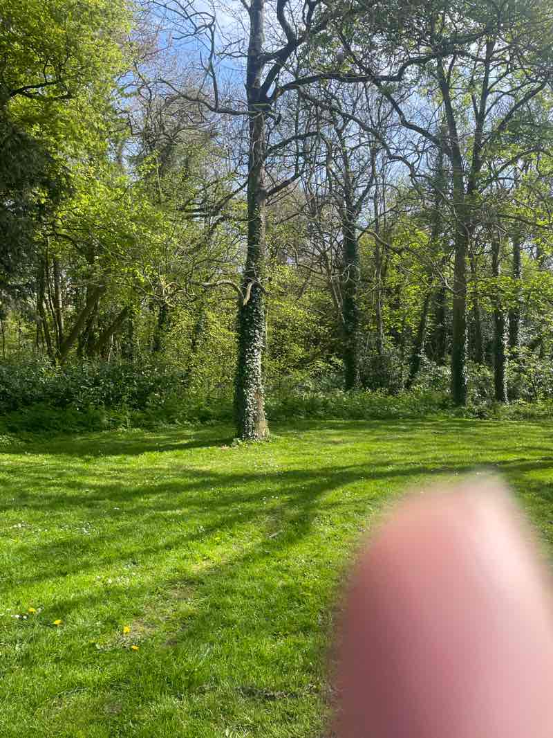walking near me in Castletown Demesne in spring