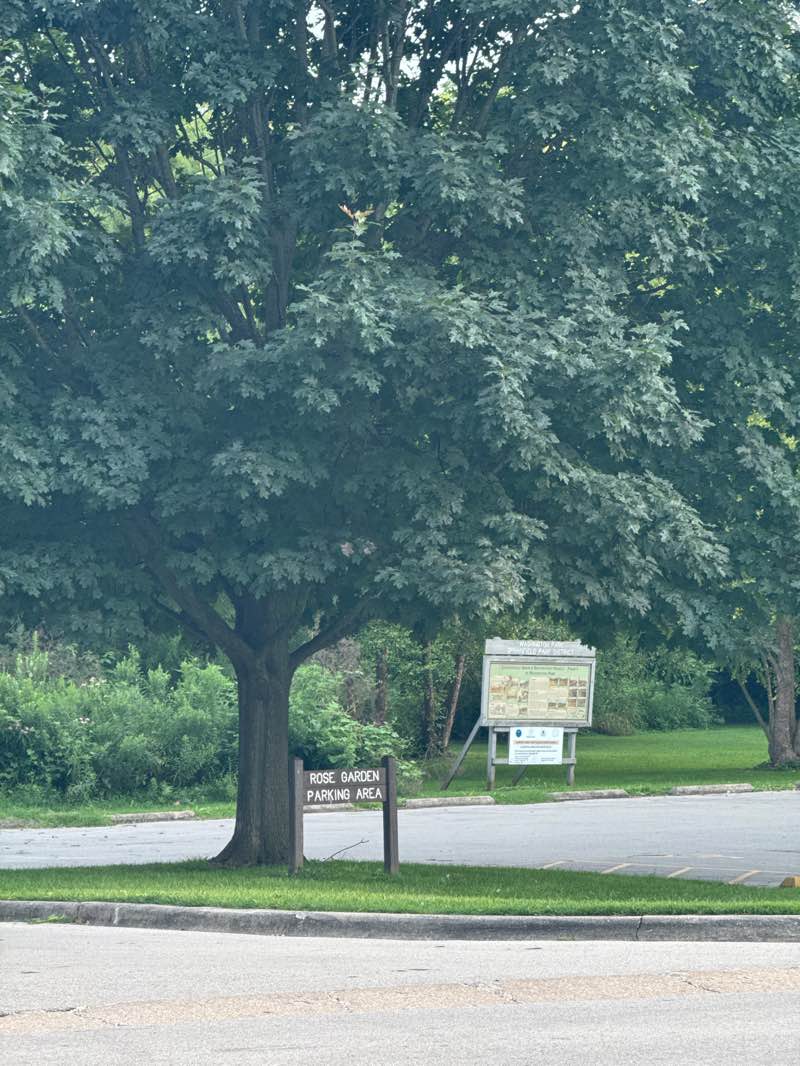walking near me in Washington Park in autumn