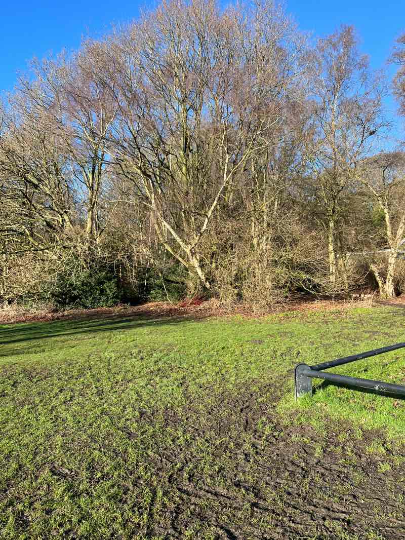 walking near me in alwoodley village green in winter