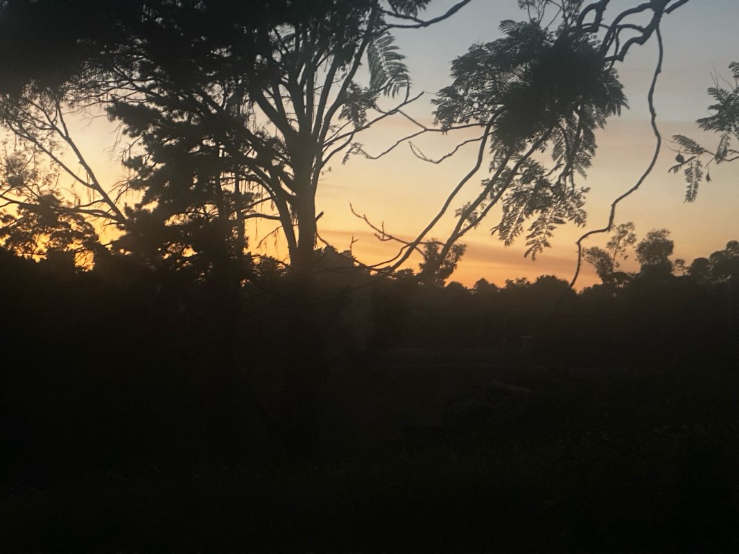 walking near me in Mangapapa Reserve in summer