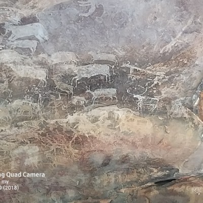 Satish Kothari post 2