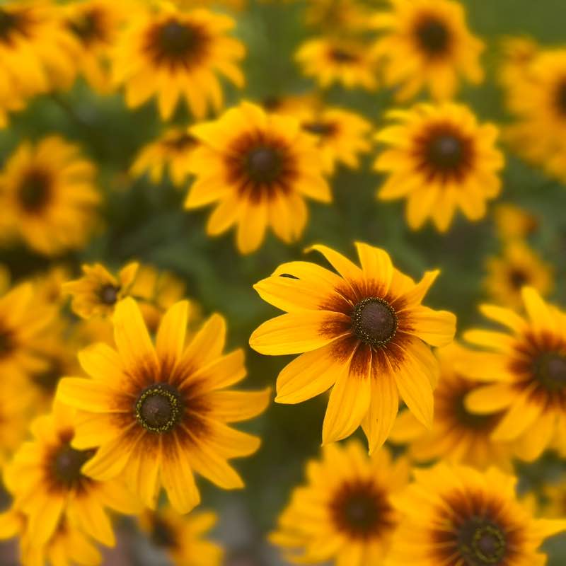 Екатерина Питер⚡️💃⚡️ post 2