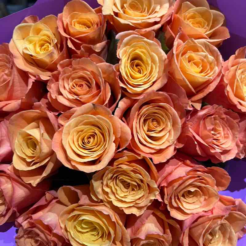 Мы Вместе Екатерина Питер⚡️💃⚡️ post image