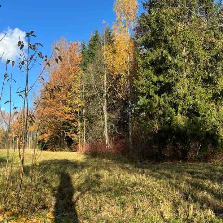 Екатерина Питер⚡️💃⚡️ post 3