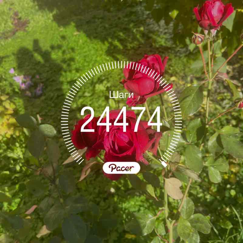 Екатерина Питер⚡️💃⚡️ post 1