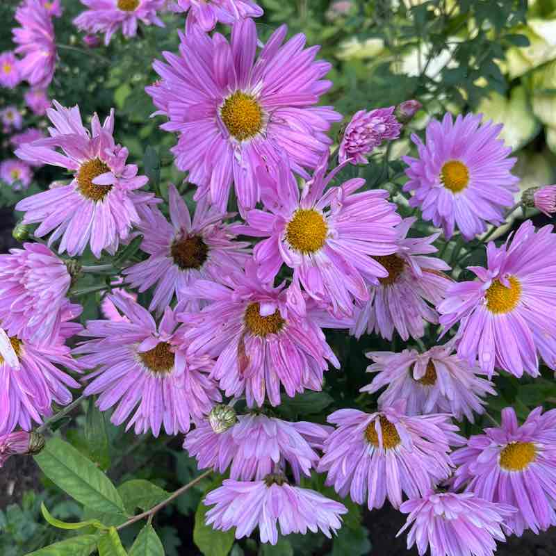 Екатерина Питер⚡️💃⚡️ post 1