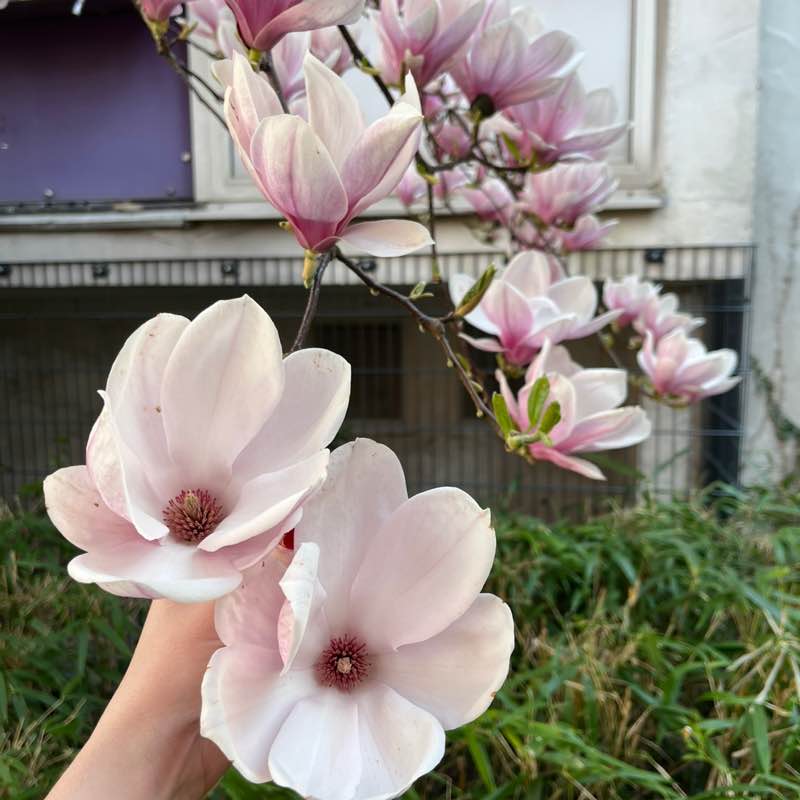 Екатерина Питер⚡️💃⚡️ post 3