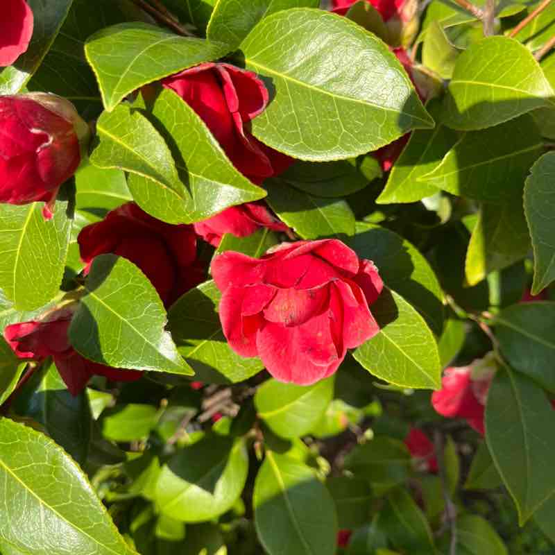 Екатерина Питер⚡️💃⚡️ post 1