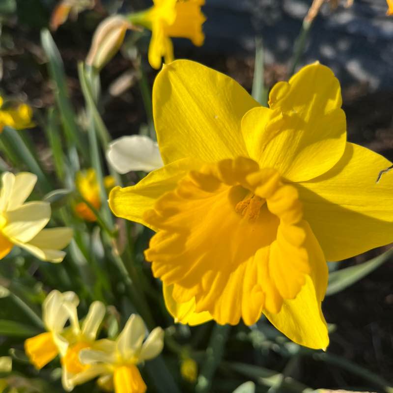 Екатерина Питер⚡️💃⚡️ post 2