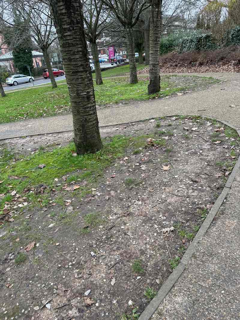 walking near me in Golden Jubilee Gardens in winter