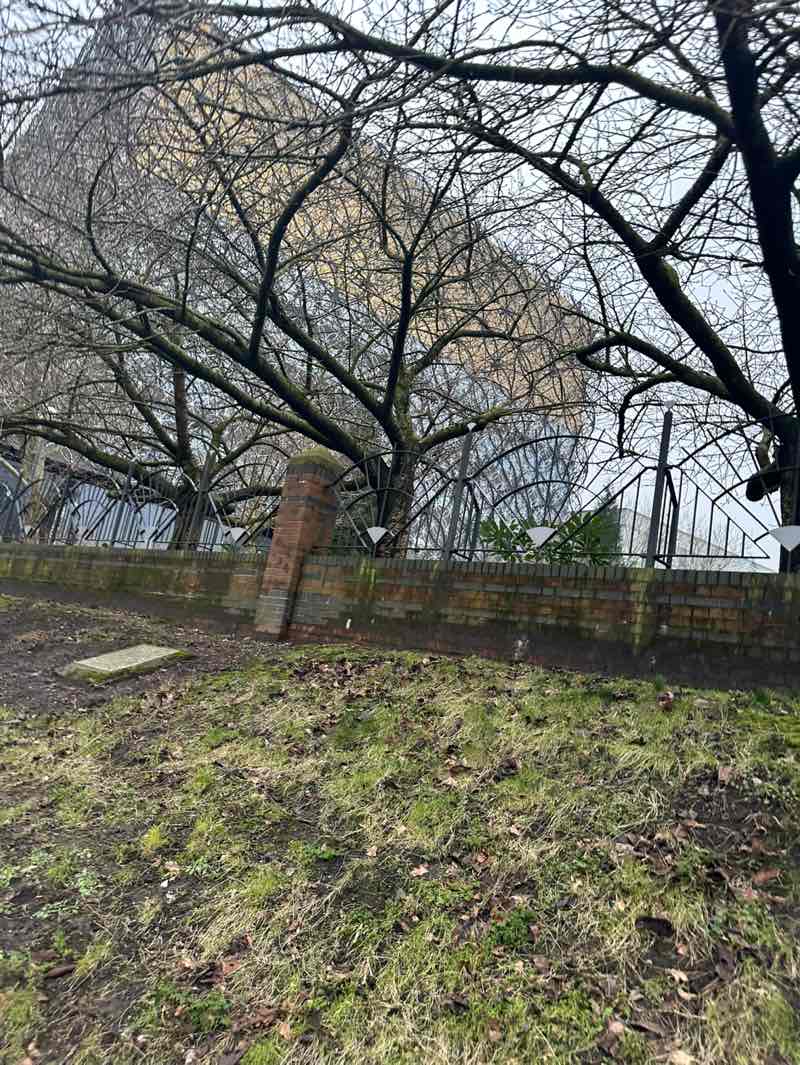 walking near me in City Centre Gardens in winter