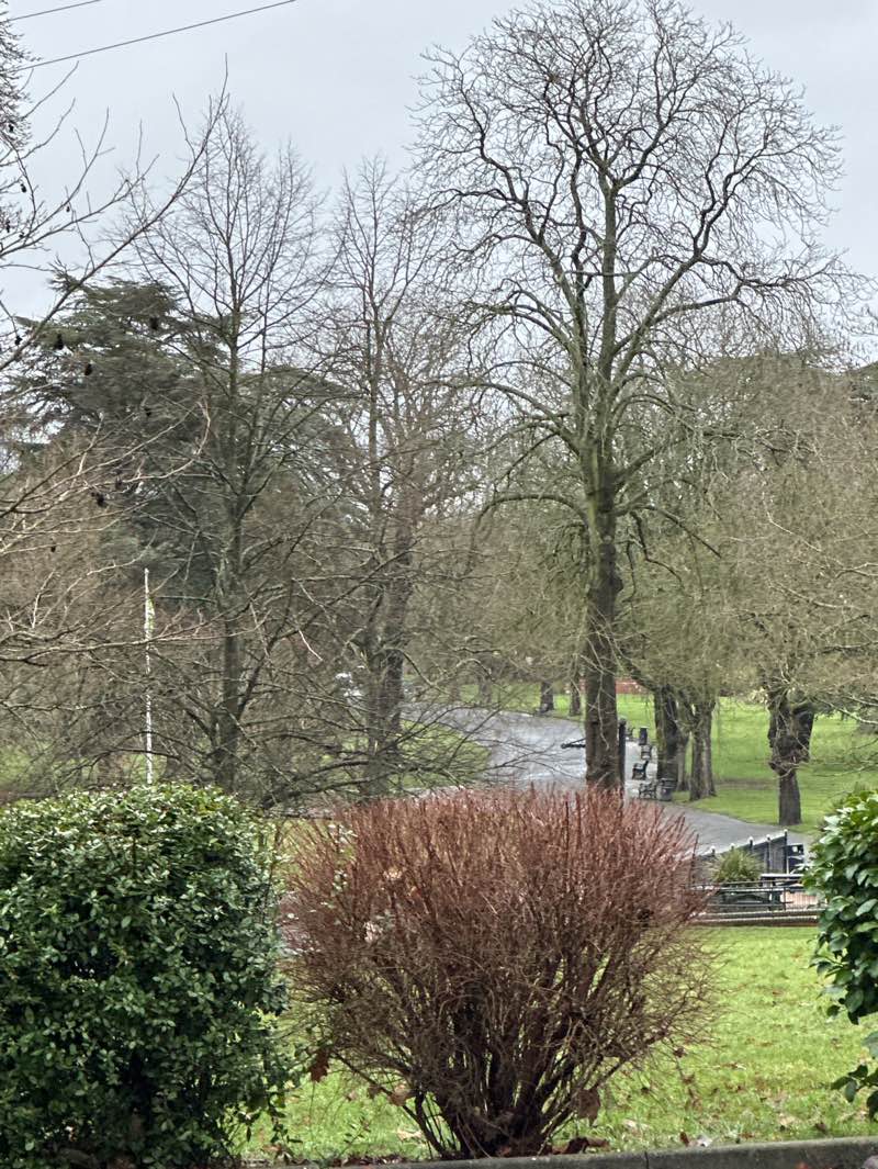 walking near me in Cannon Hill Park in winter