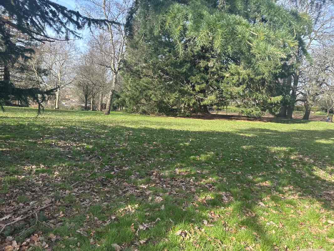 walking near me in Churchill Gardens in spring