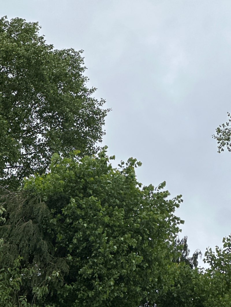 walking near me in Selly Oak Park in summer