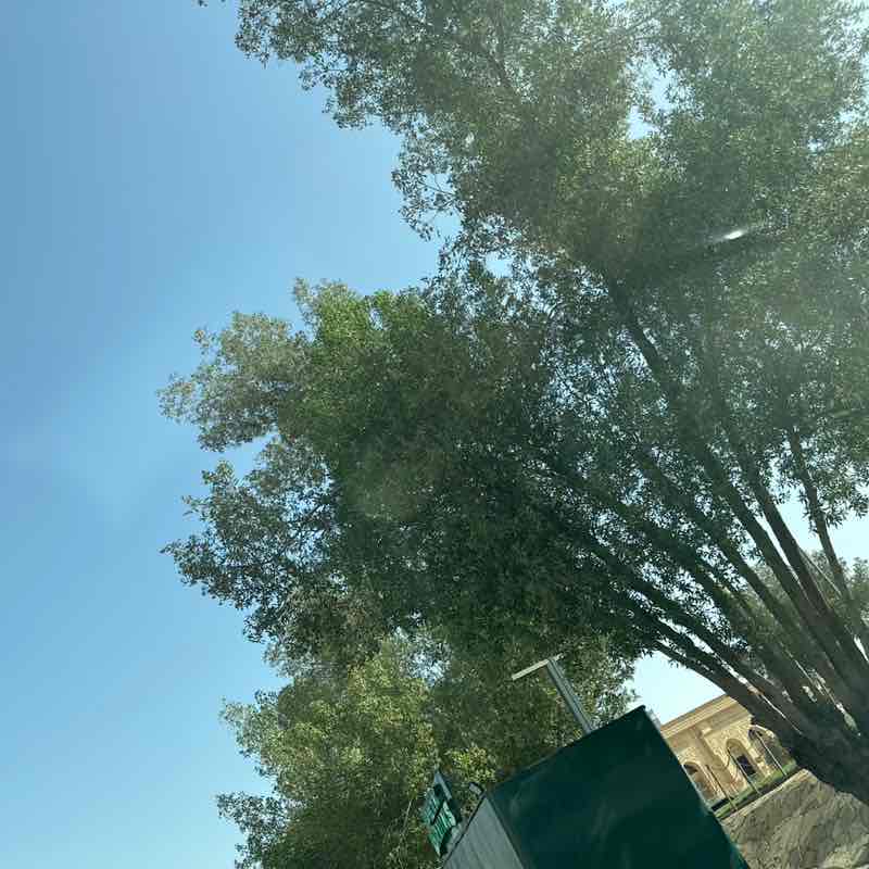 Wissam 🇱🇧 post 1