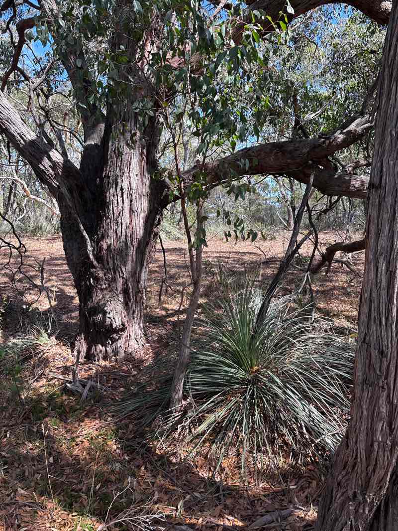 walking near me in Unnamed (No.HA1108) Heritage Agreement in autumn