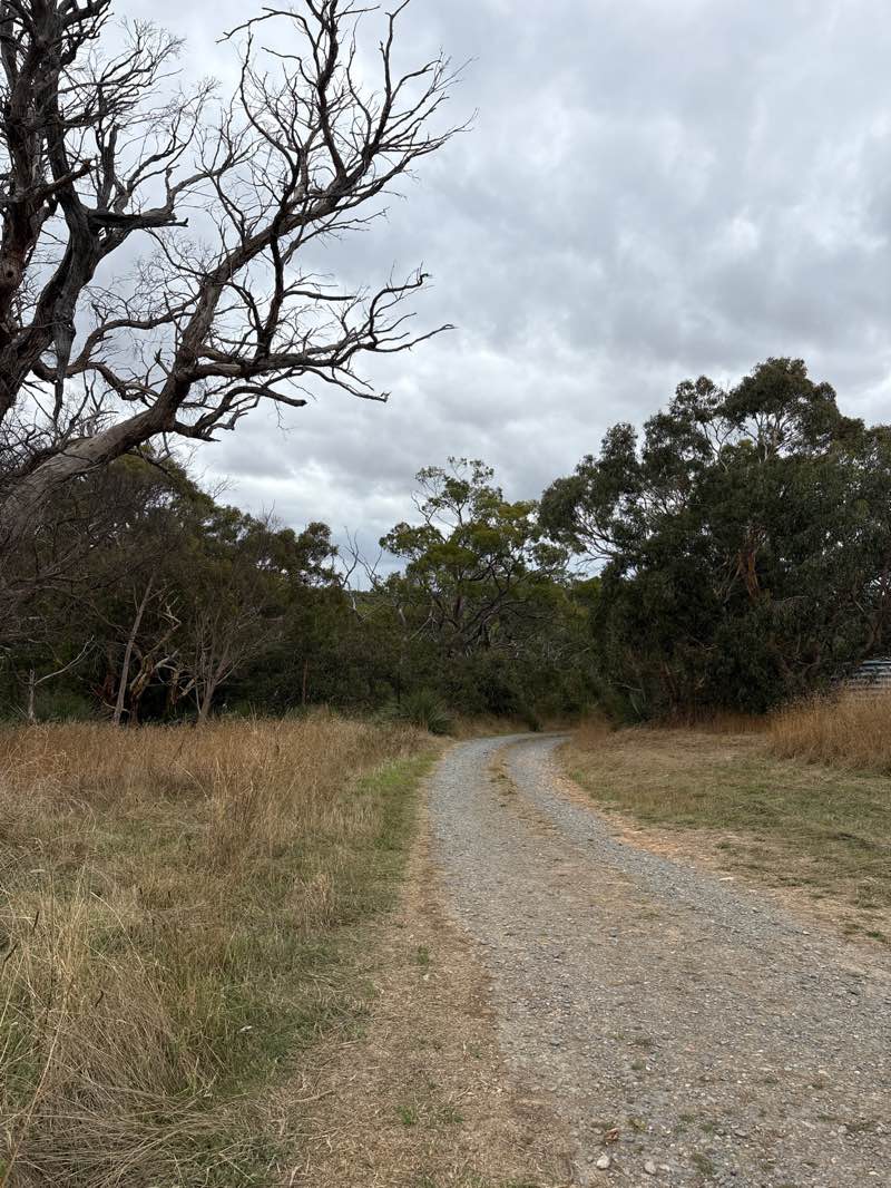 walking near me in Unnamed (No.HA1315) Heritage Agreement in autumn