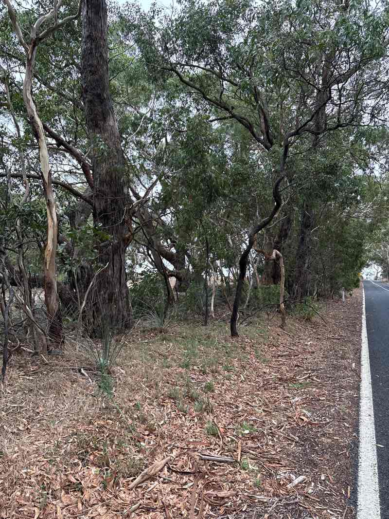 walking near me in Unnamed (No.HA1108) Heritage Agreement in autumn