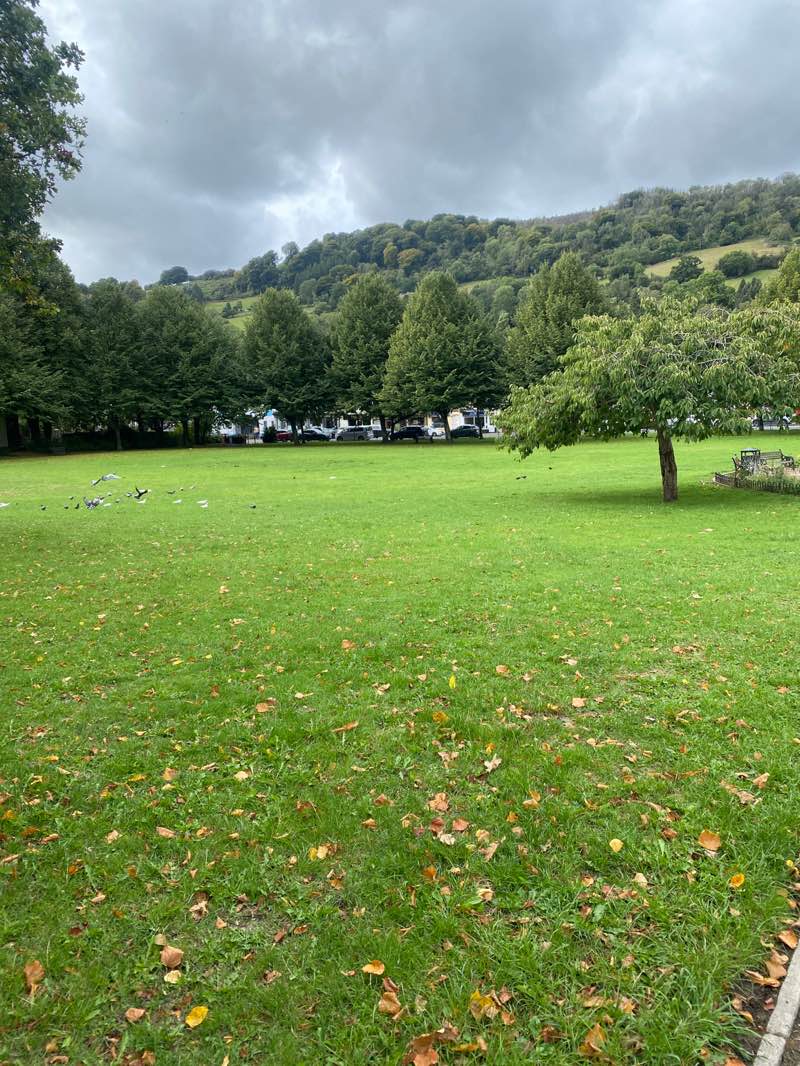 walking near me in Risca Park in autumn