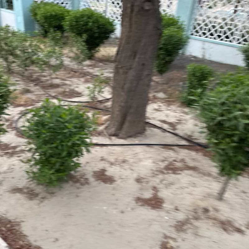 Mohinder post 1