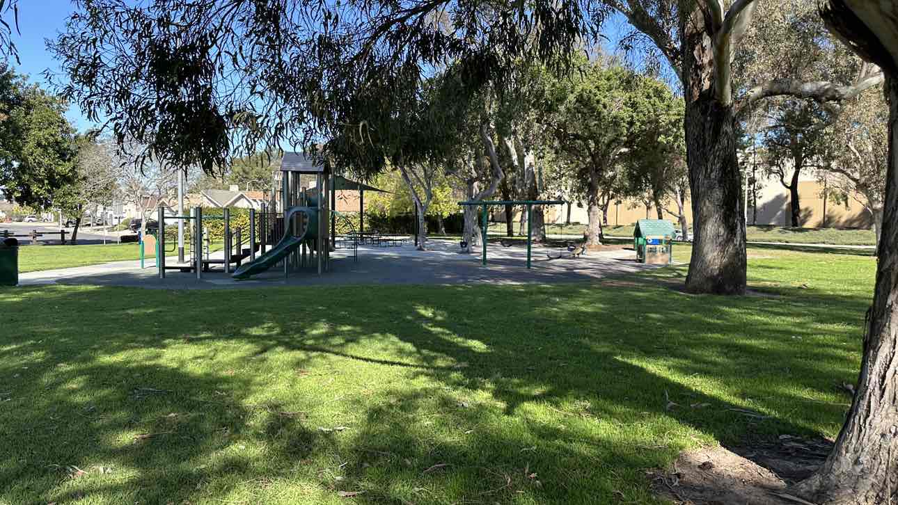 walking near me in Eucalyptus Park in spring