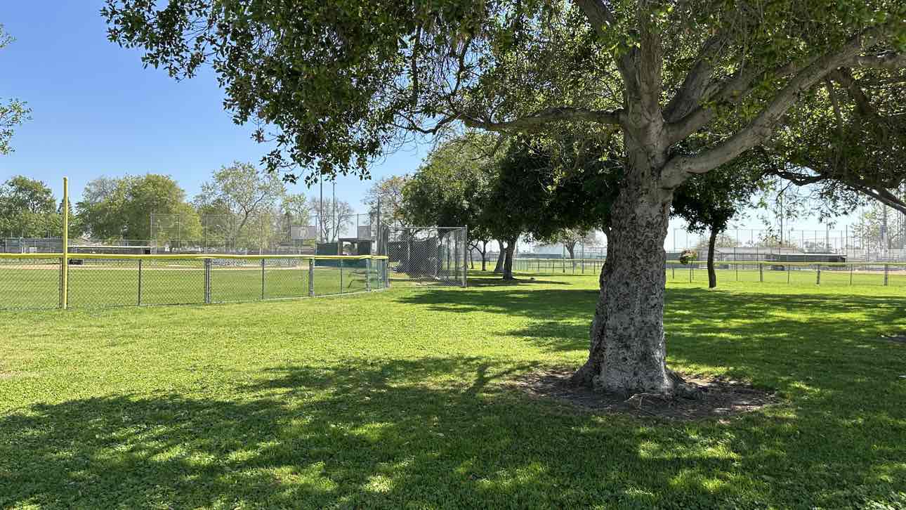 walking near me in Oak Knoll Park in spring