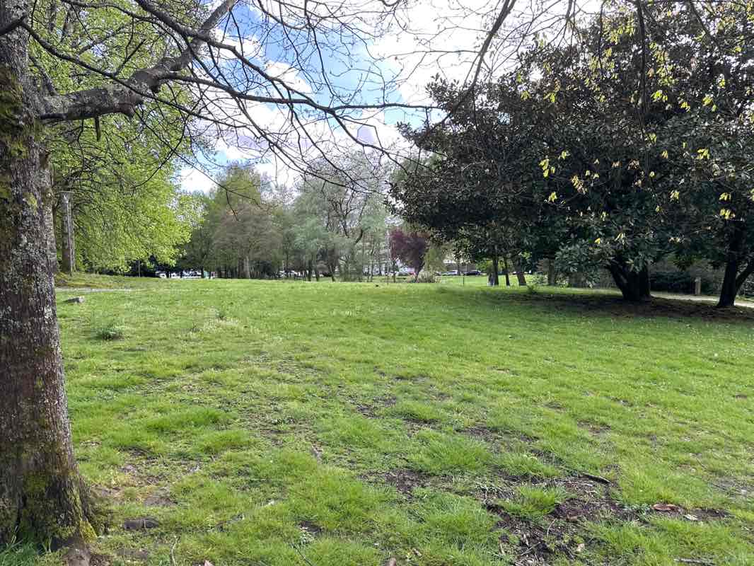 walking near me in Parque de Música en Compostela in spring