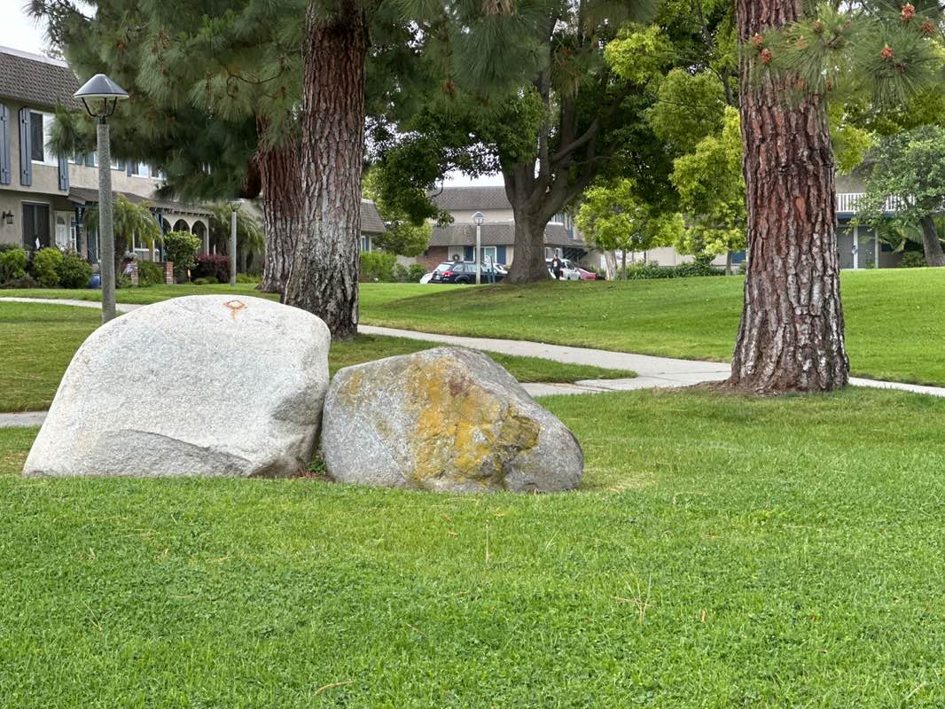 walking near me in Tanglewood Park in spring