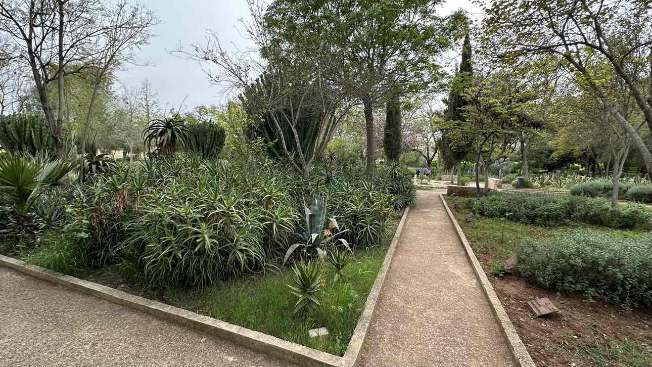 walking near me in Jnan Sbil جنان السبيل in spring