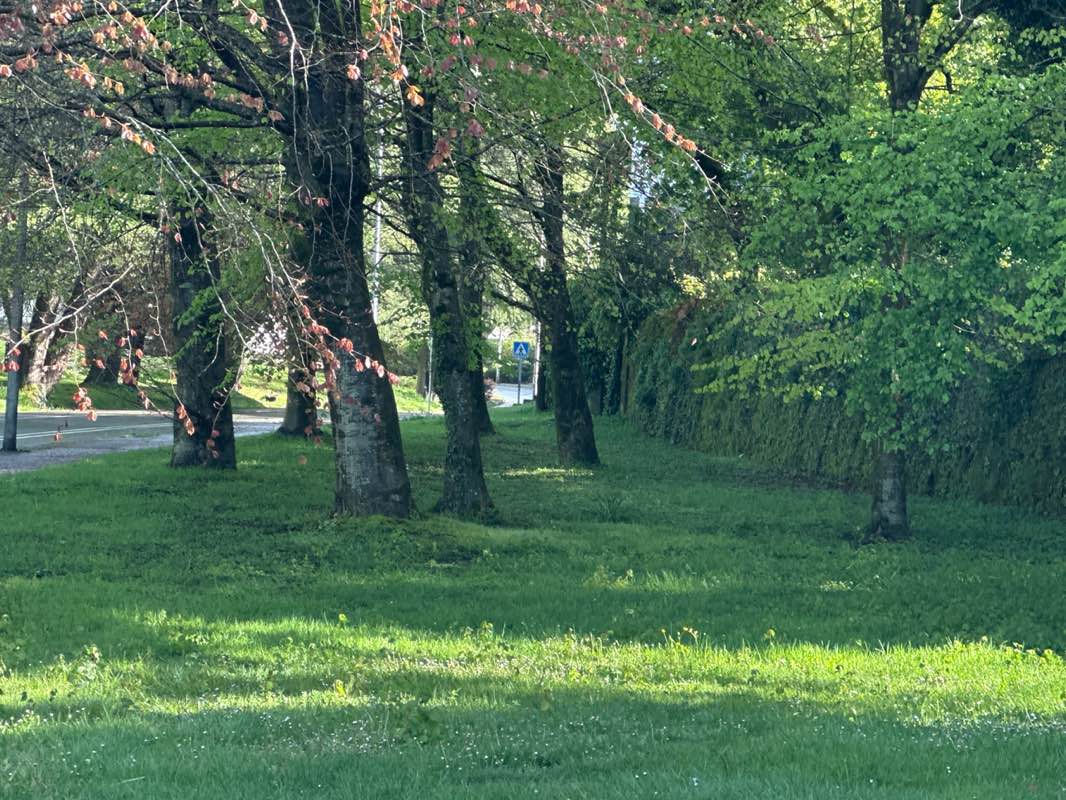 walking near me in Parque de José 'Zeca' Afonso in spring