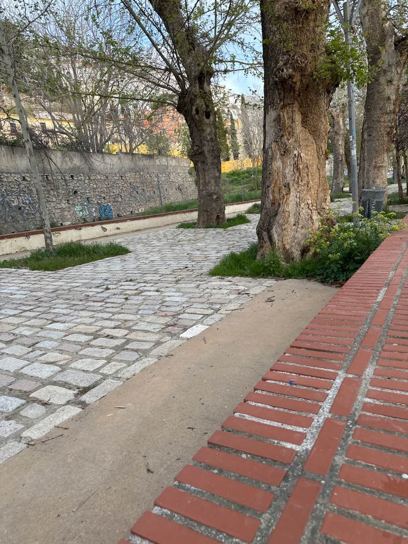 walking near me in Parque de las Palmas in spring