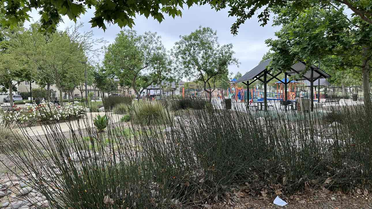 walking near me in Mackay Park in spring