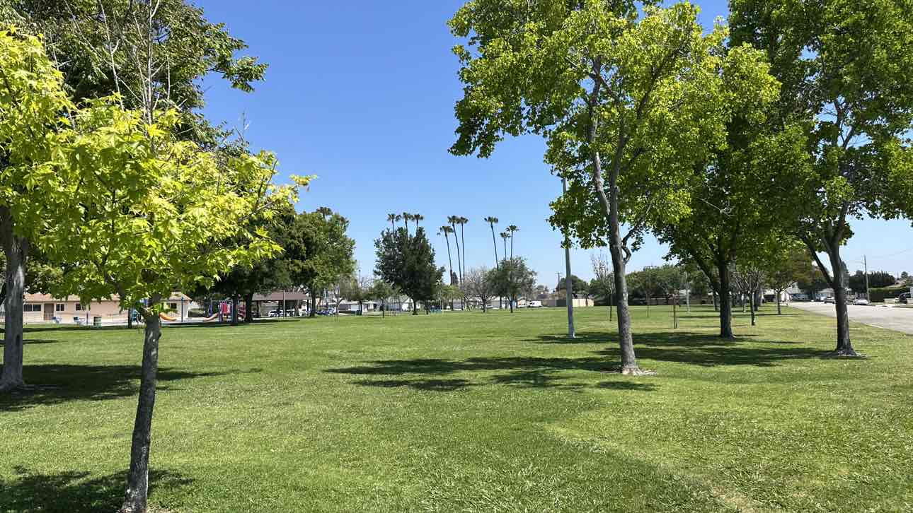 walking near me in West Grove Park in spring