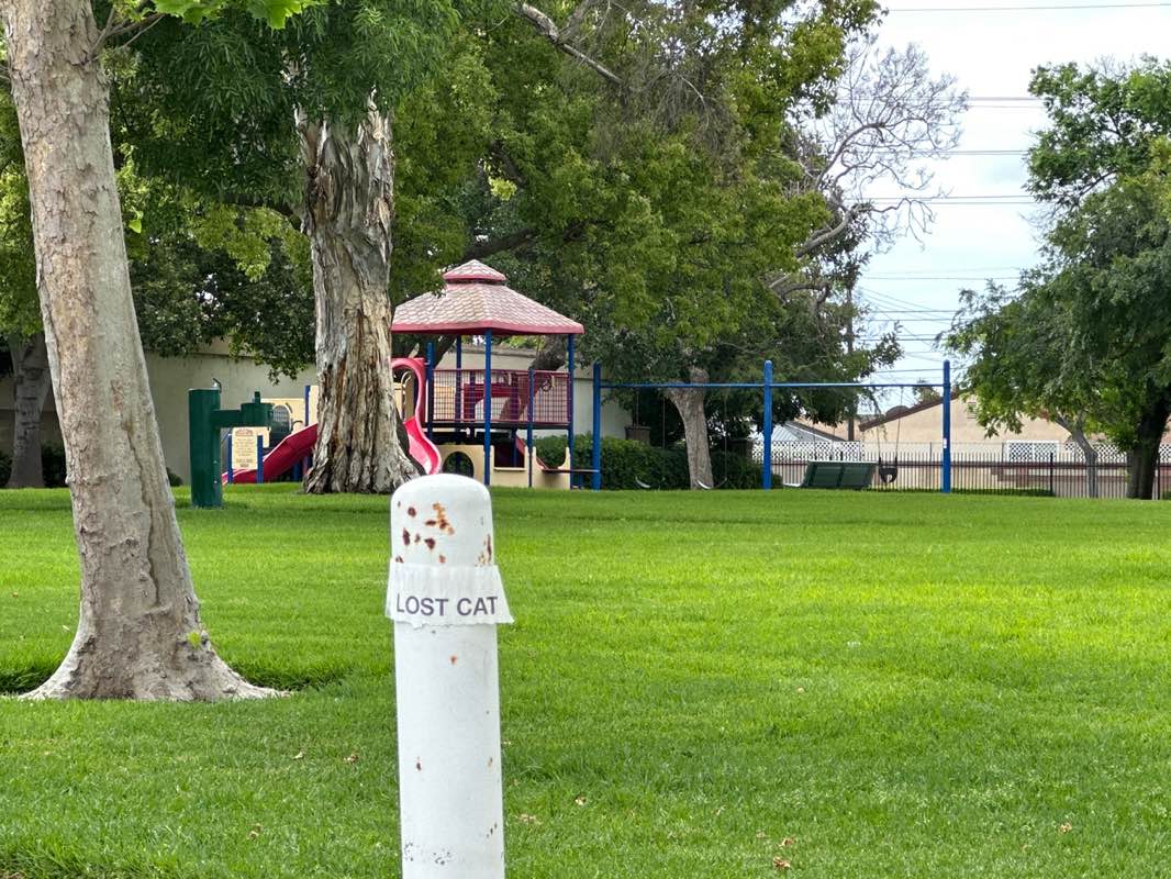 walking near me in Daryl Essex Park in spring