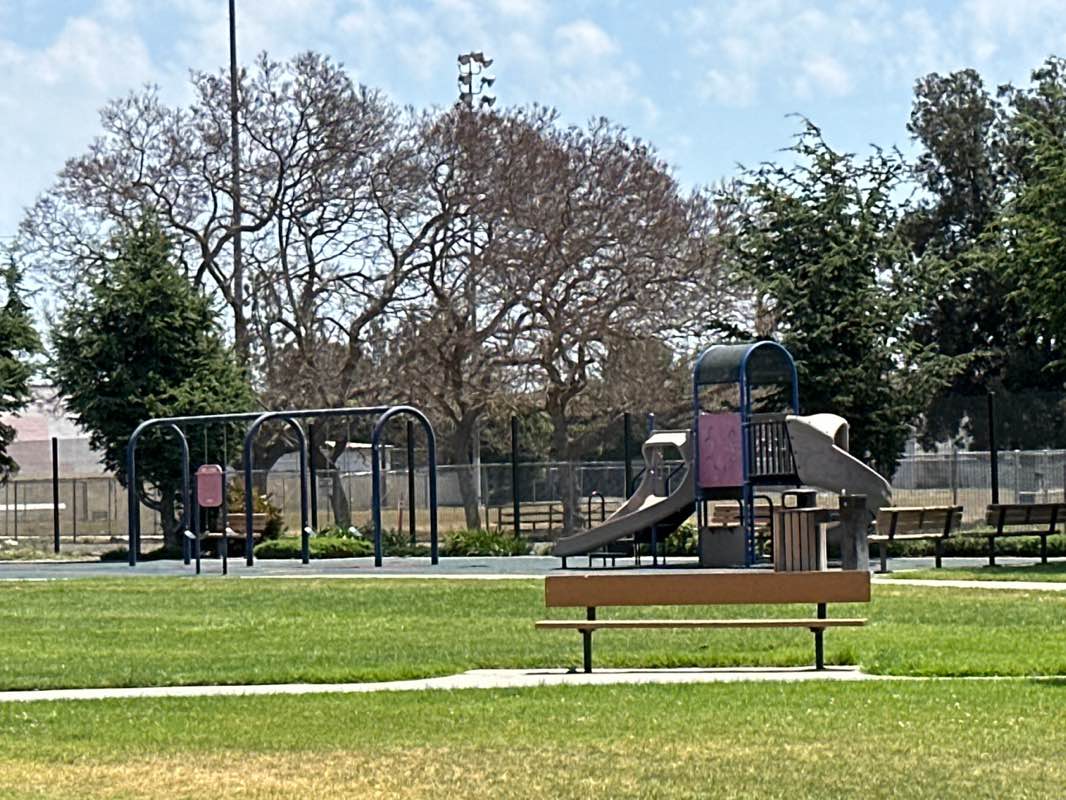 walking near me in Stanton Park in spring