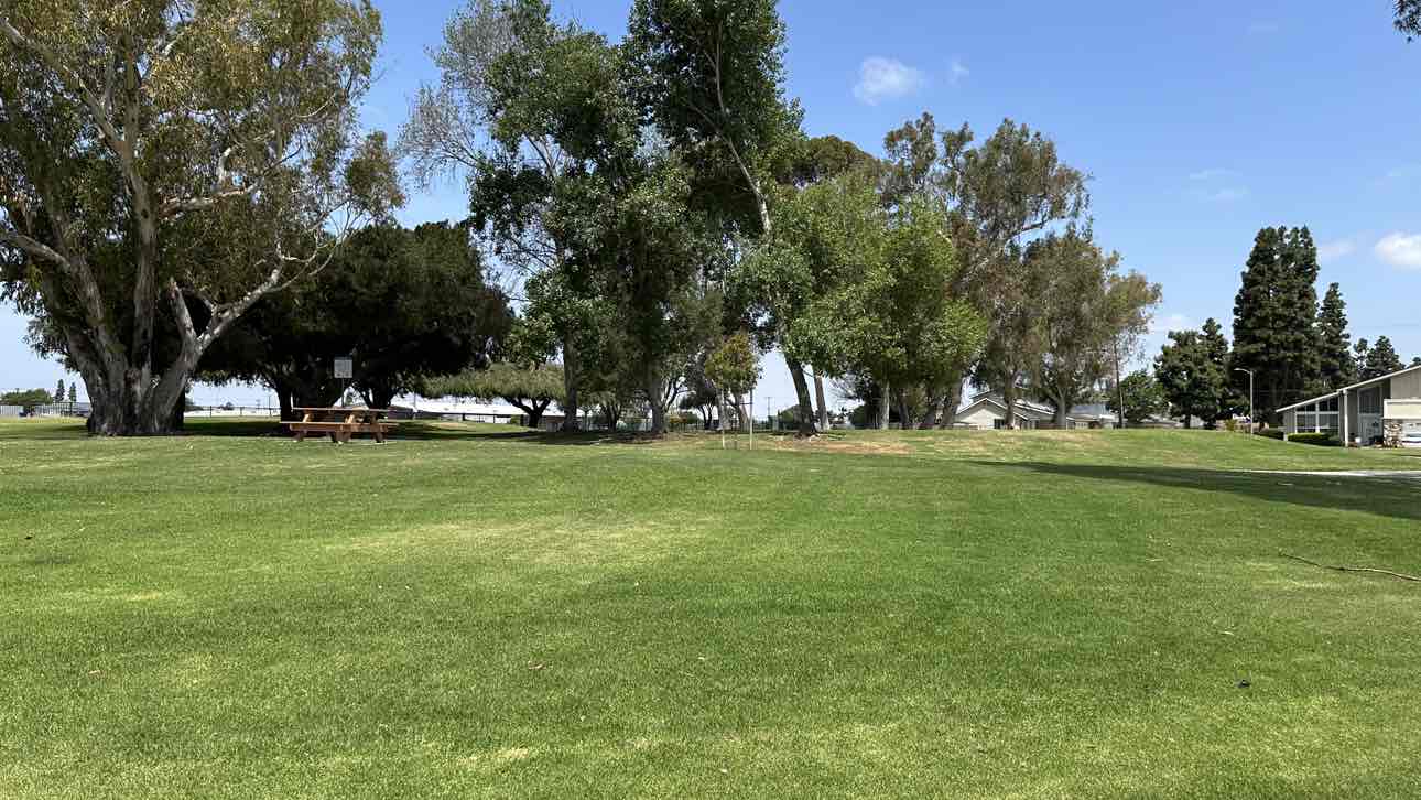 walking near me in College View Park in spring