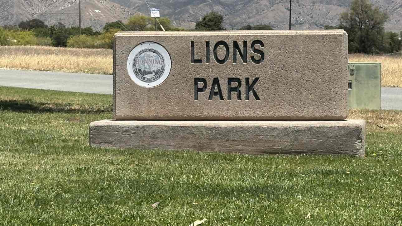 walking near me in Lions Park in summer