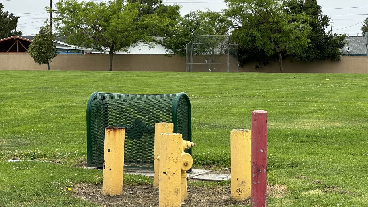 walking near me in San Antonio Park in summer