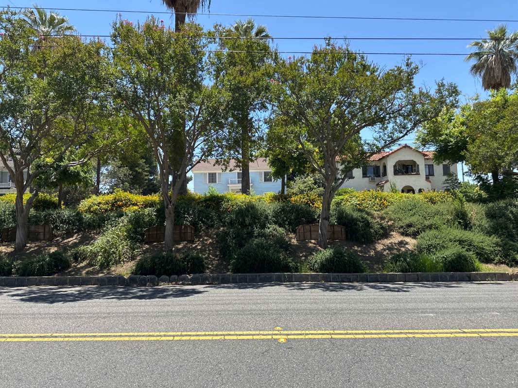 walking near me in The Terrace Park in summer